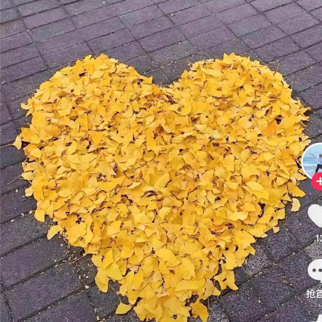 涛涛