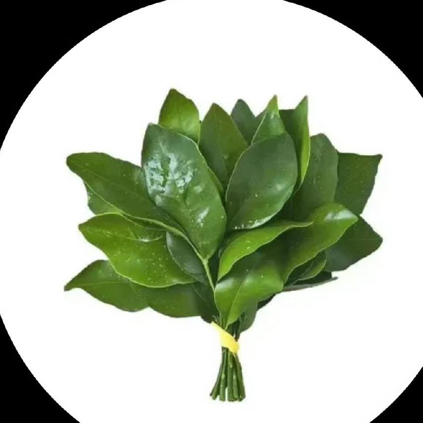 搁浅在岸上的鱼