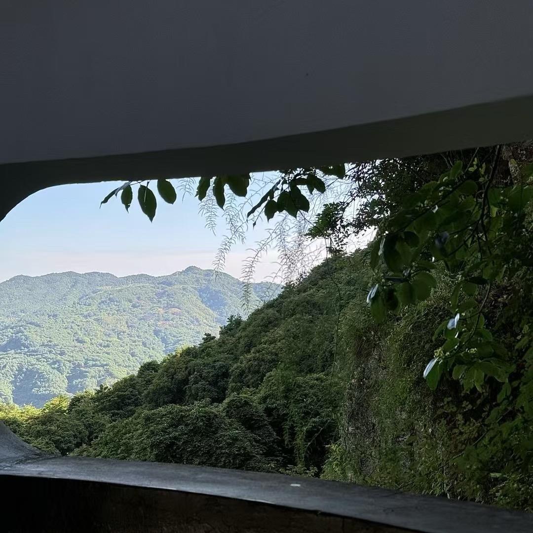 沁糖记