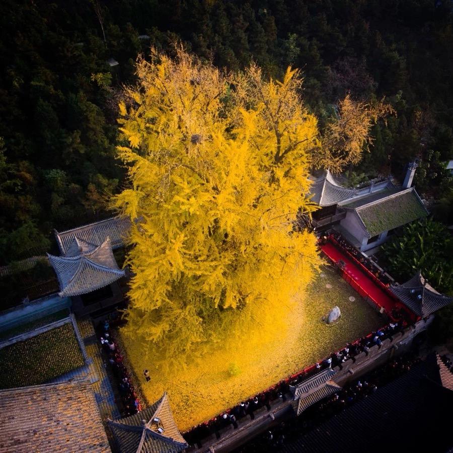 ♥️♠️♦️♣️长夏