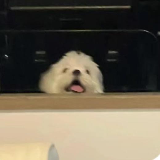 WWW🦊