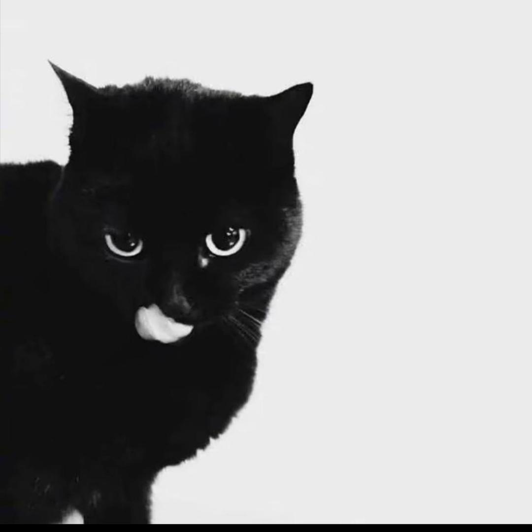 taoooo