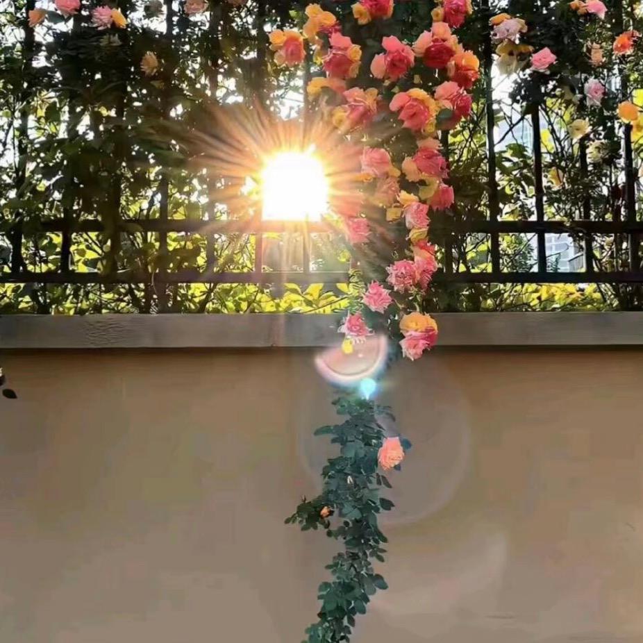 好运无限财神宠爱有加