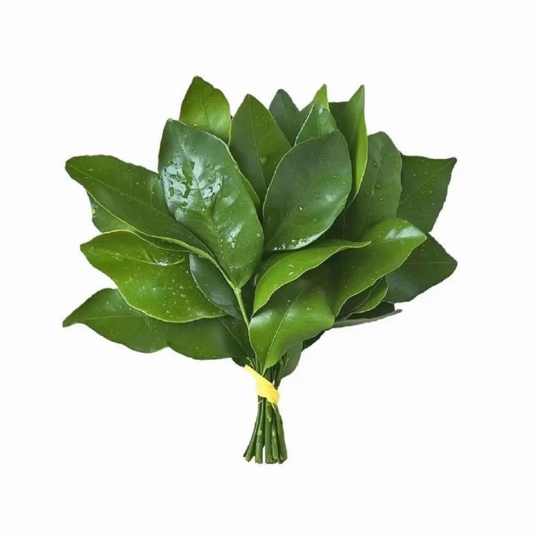 社恐小美-