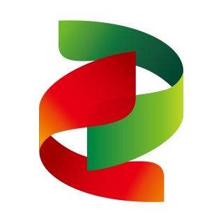 国家电投