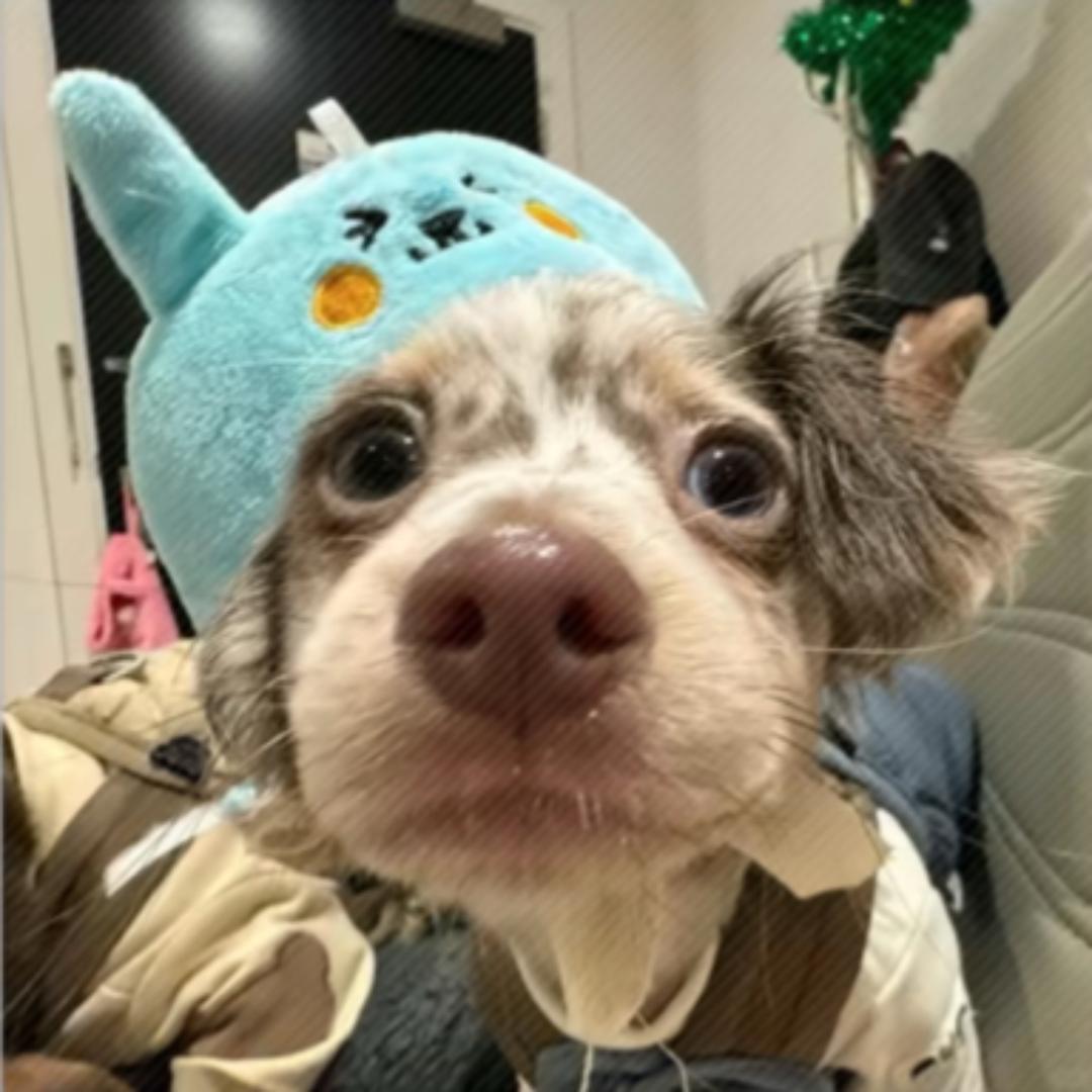 她的笑容总是延迟