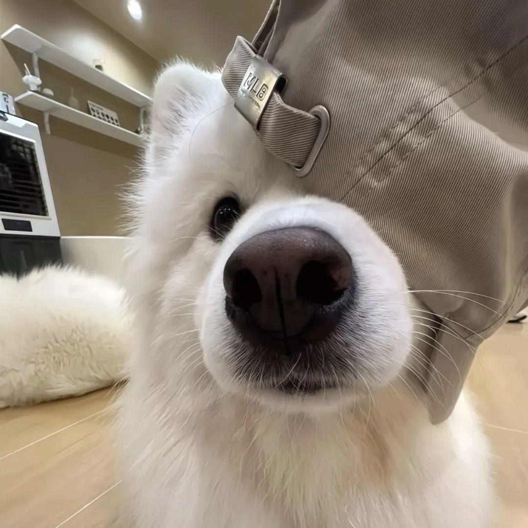 柒·