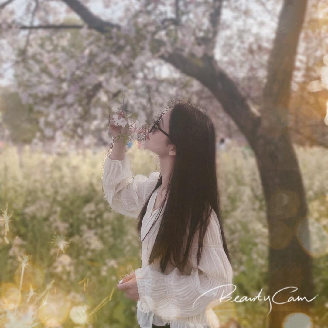 ☀️晴天☀️