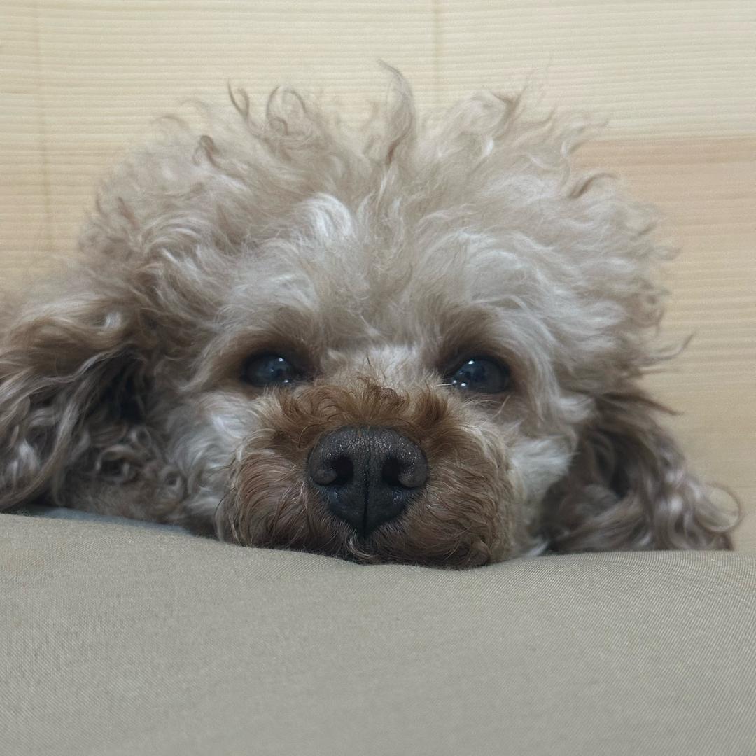 莫相忘