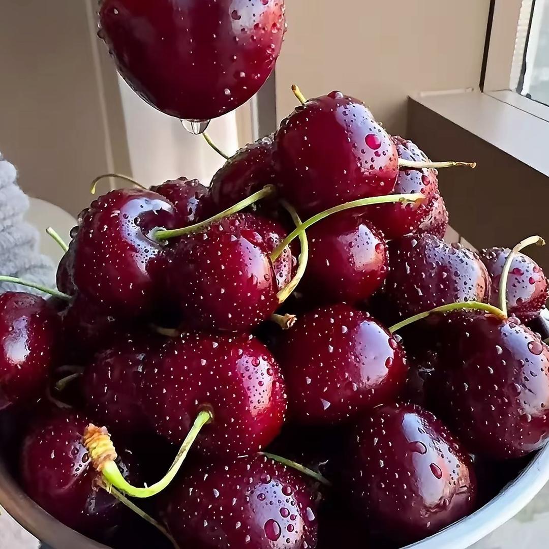 车厘子总仓🍒（一号店）