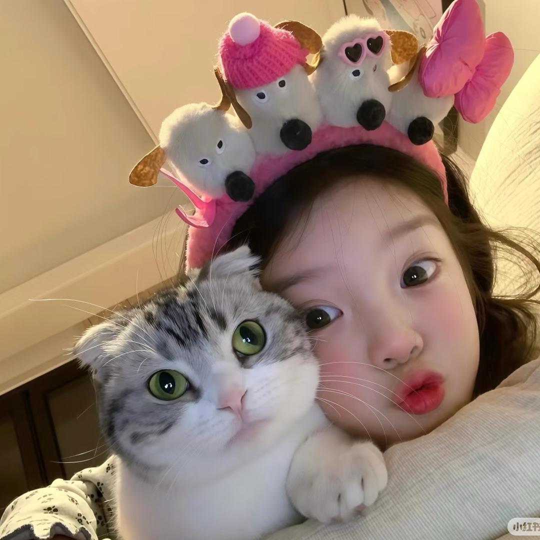 小雪啵啵（孕晚期）