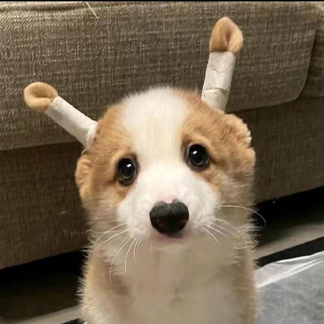 靔覭