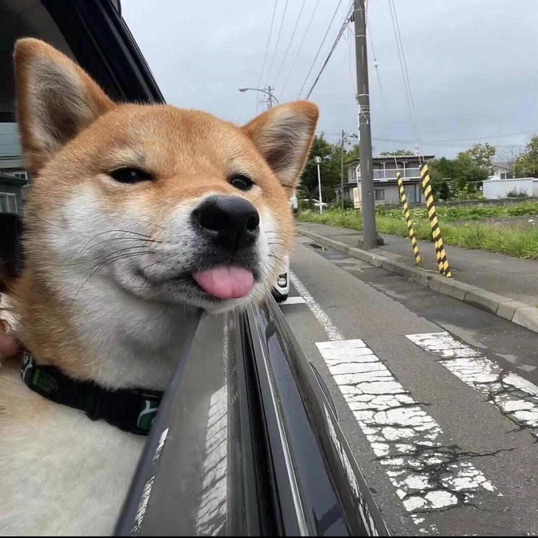 不调闹钟睡个觉