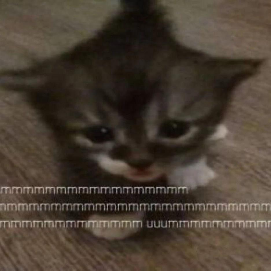 ▖▖▜▖▗▝ ▜