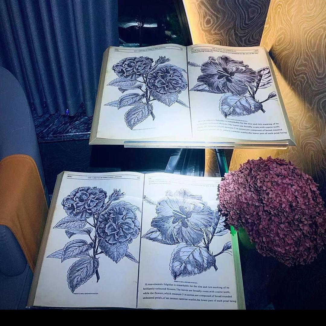 小清新🙈