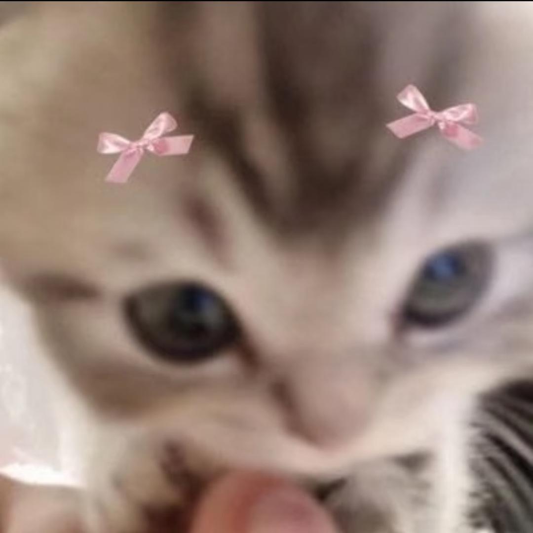 哦 所以呢