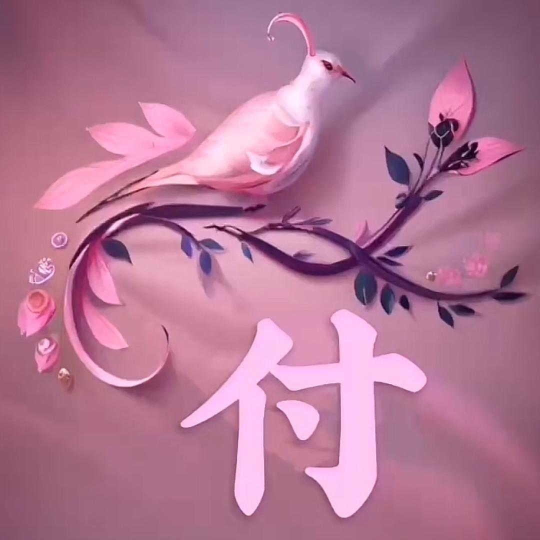 付 小 龙