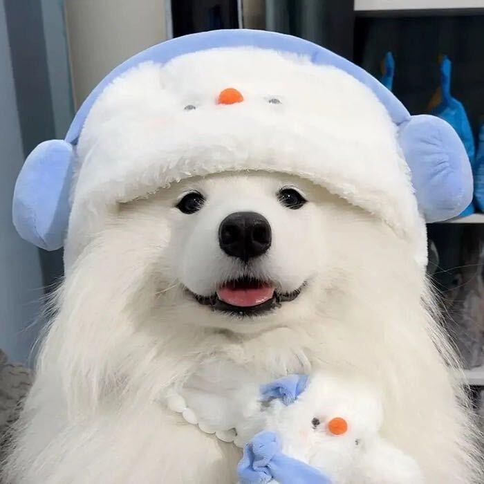 蓝胖子