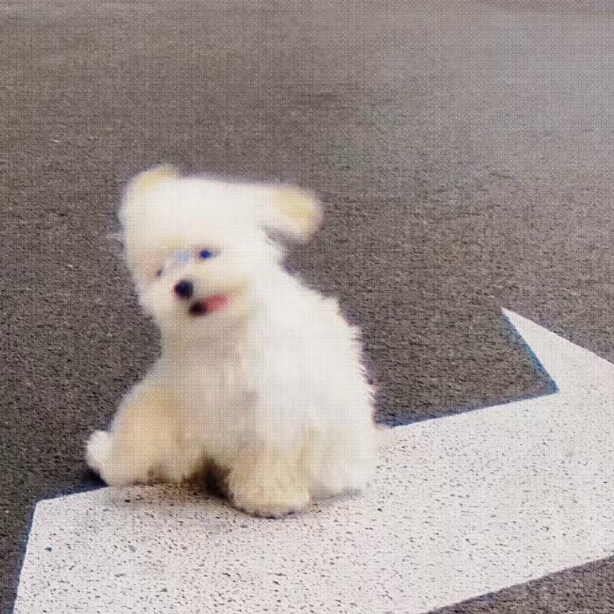小满
