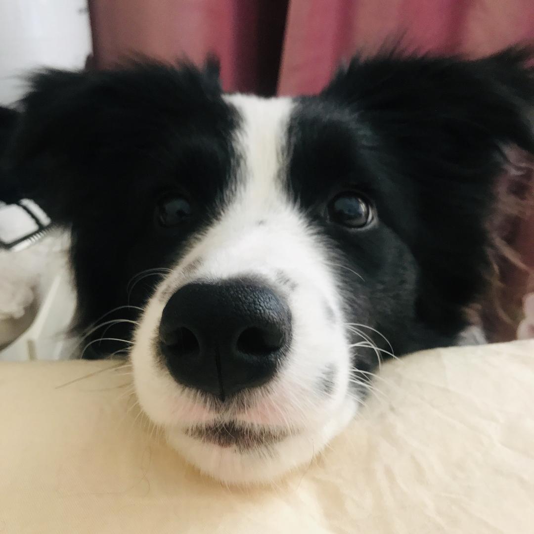 小任任