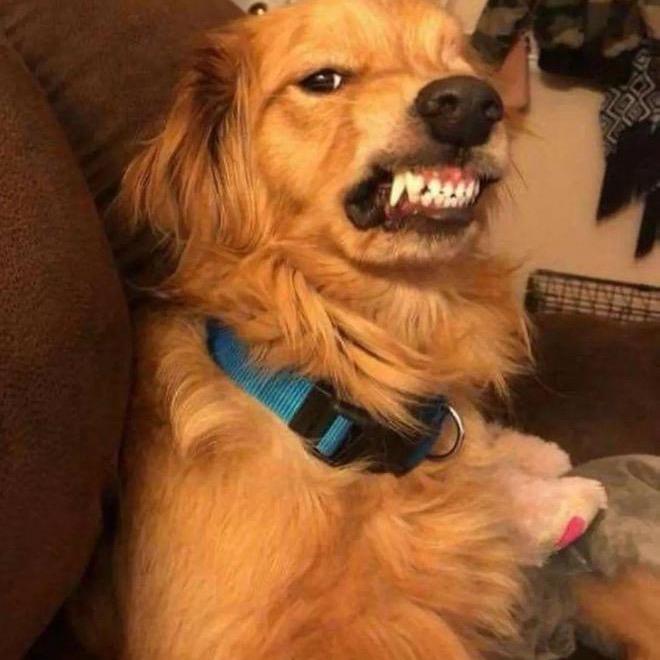 好像没必要了！