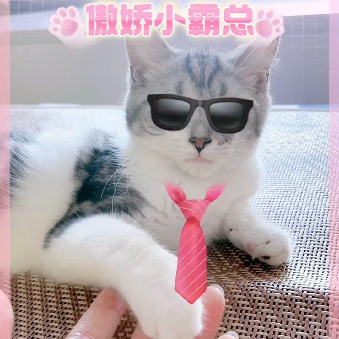 妞妞不是🐱