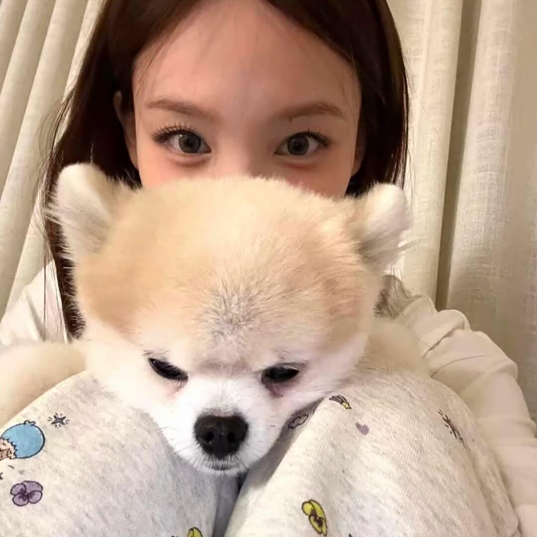 呼呼呼.