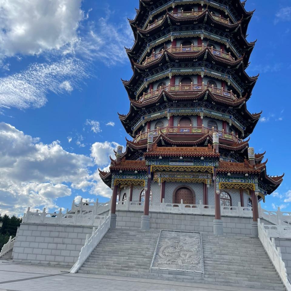 黑狐