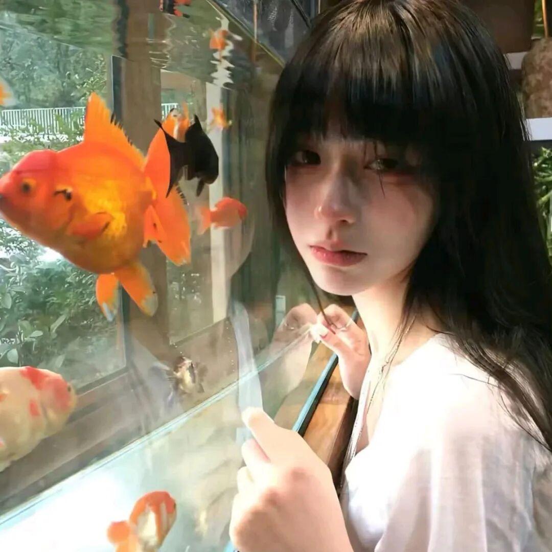 鱼鱼呀！