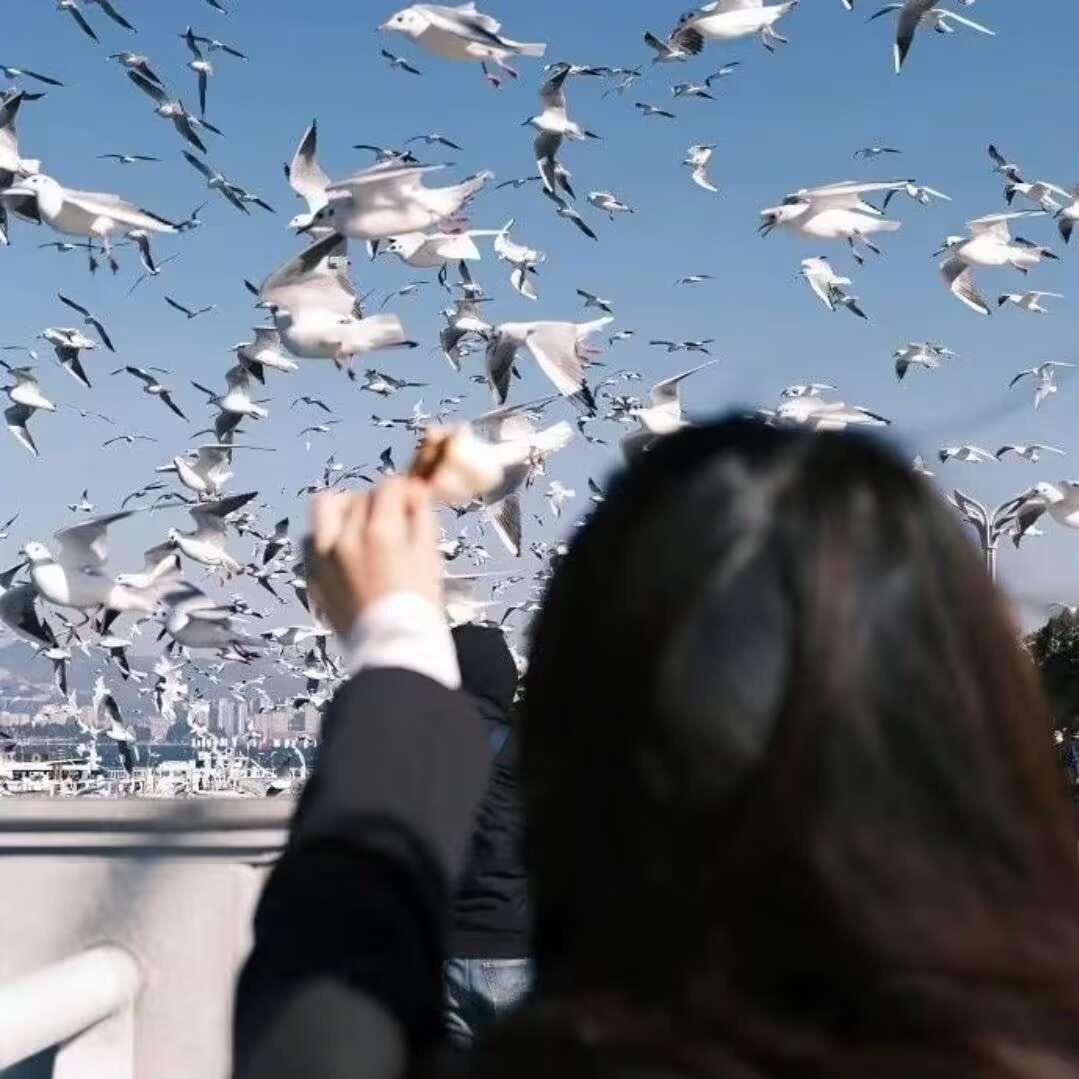 浅笑嫣然