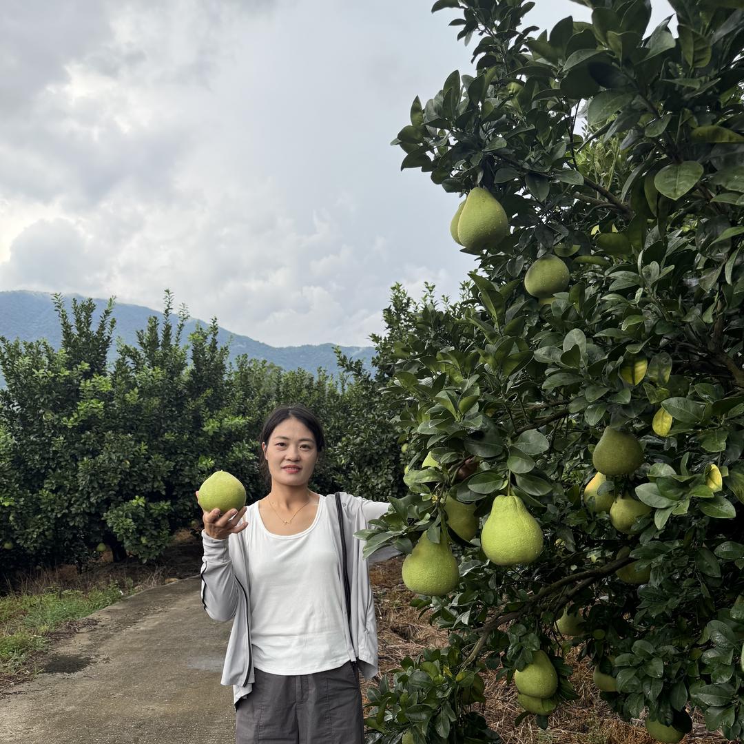 金穗纪莆仙特产甄选