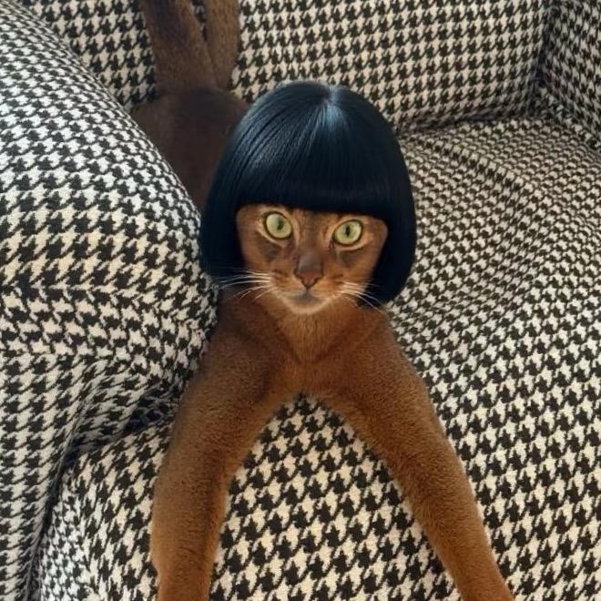 花开富贵 开心快乐