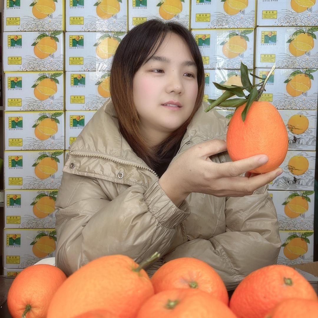 春汇好物