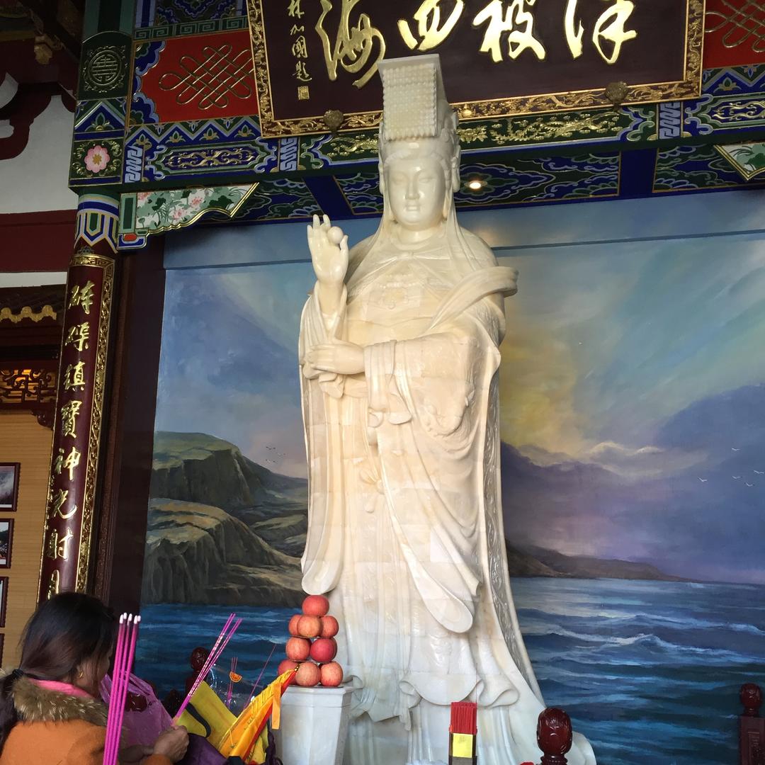 向阳花开