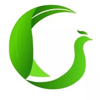 中山市大叶腾会计事务有限公司