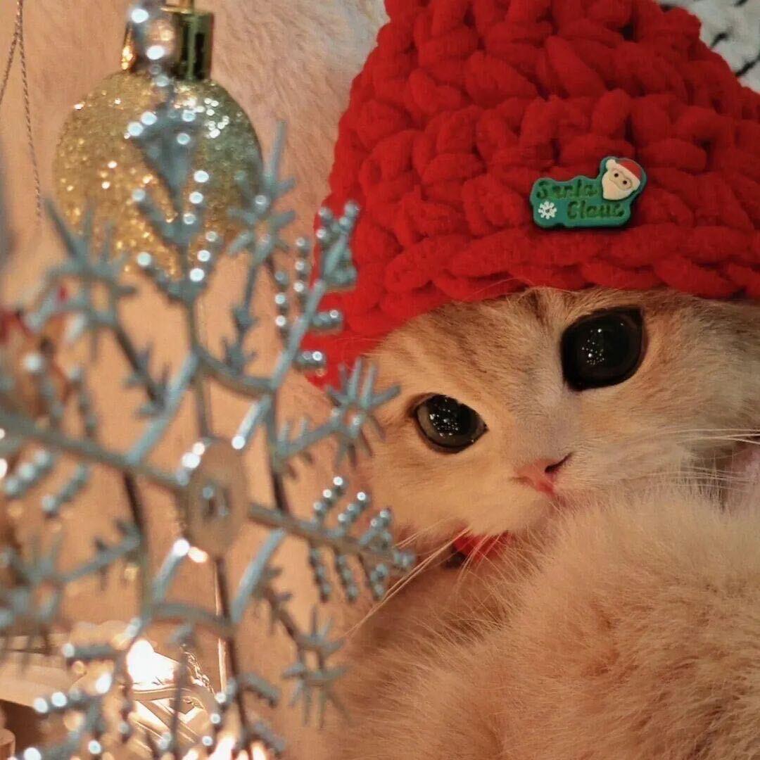 早上好不好的也到早上了