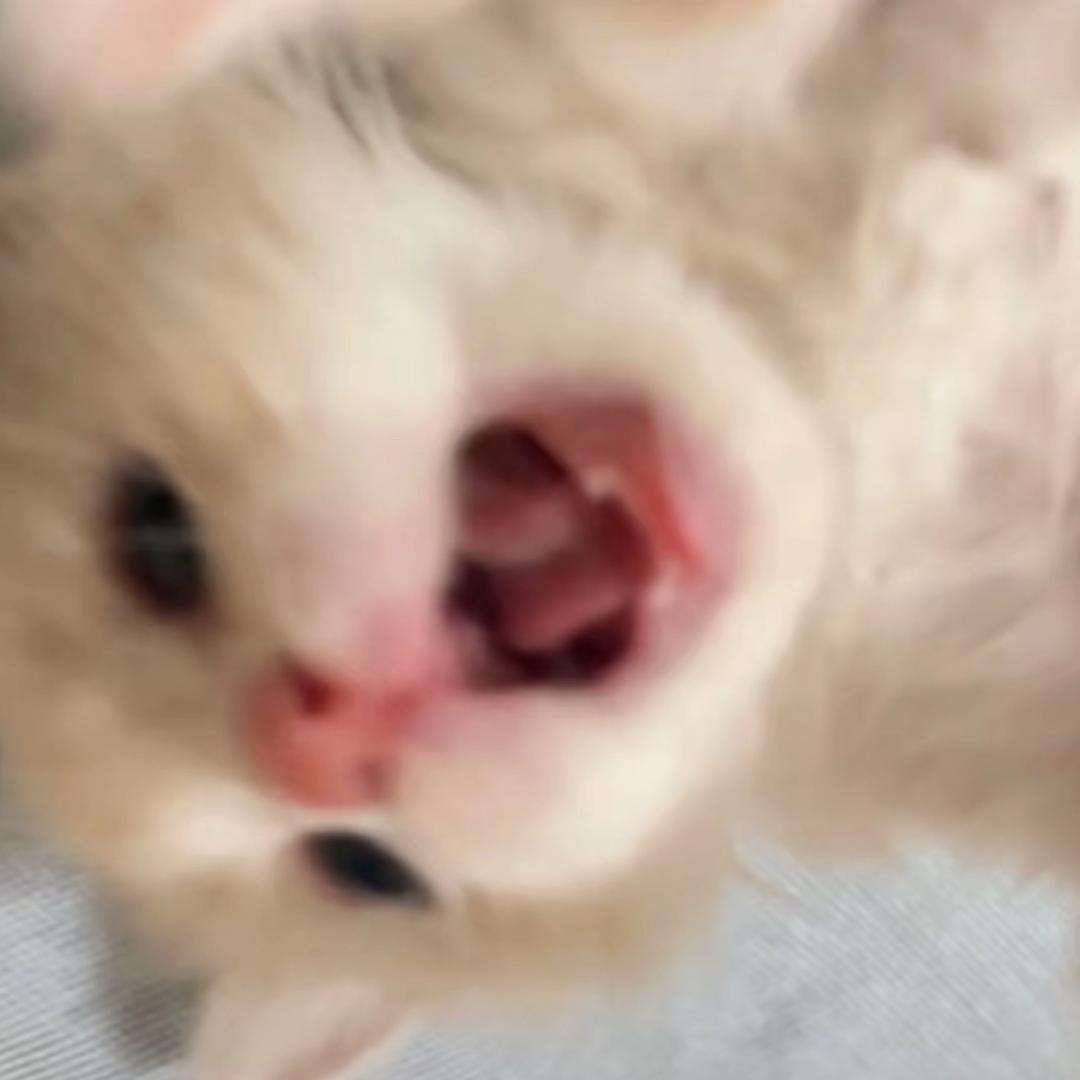 可以