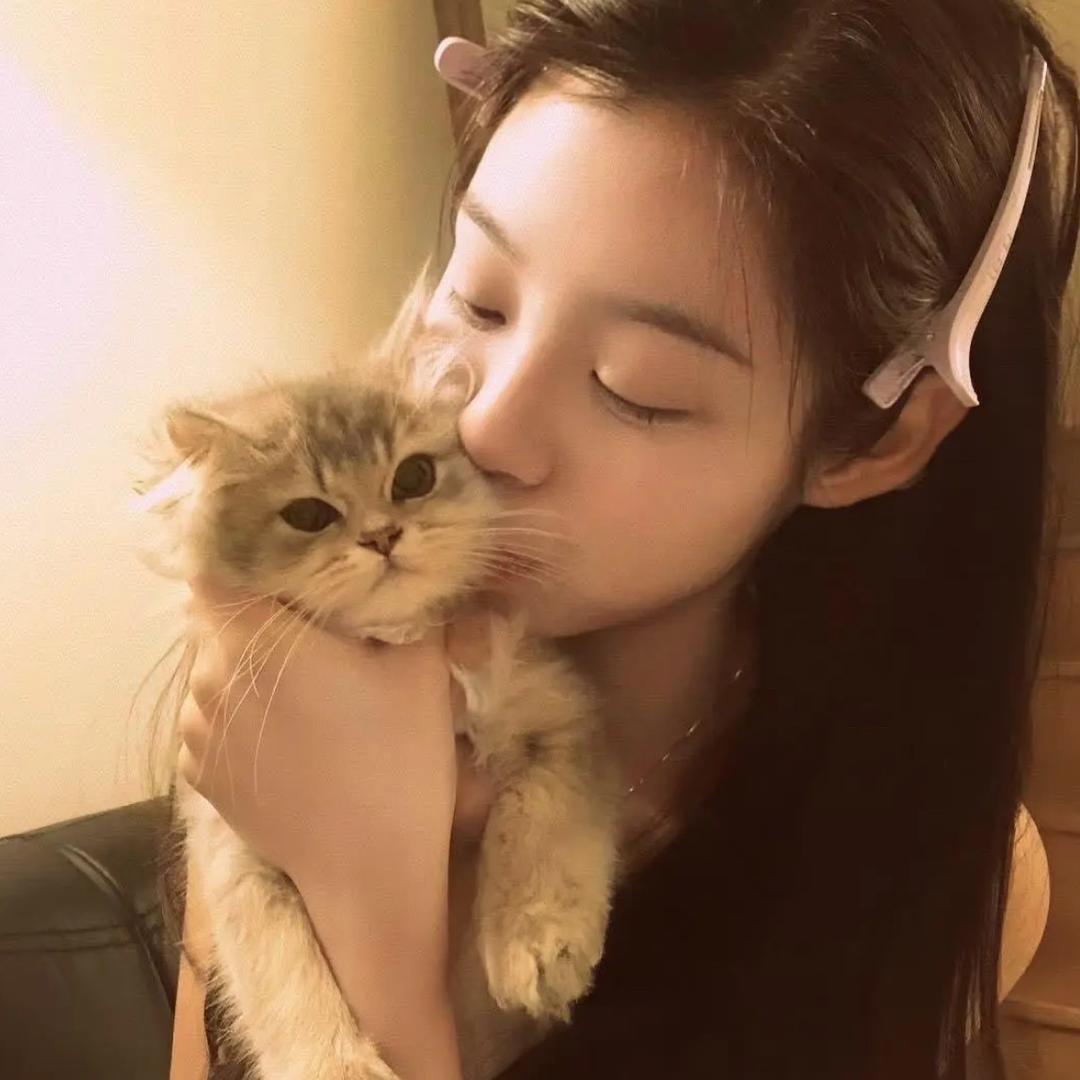 小Y.