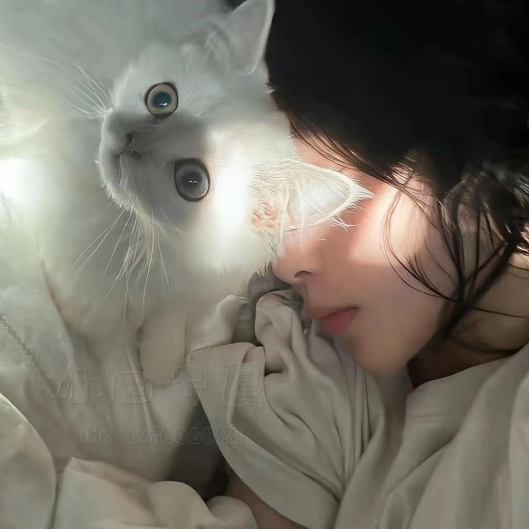 💕朝朝