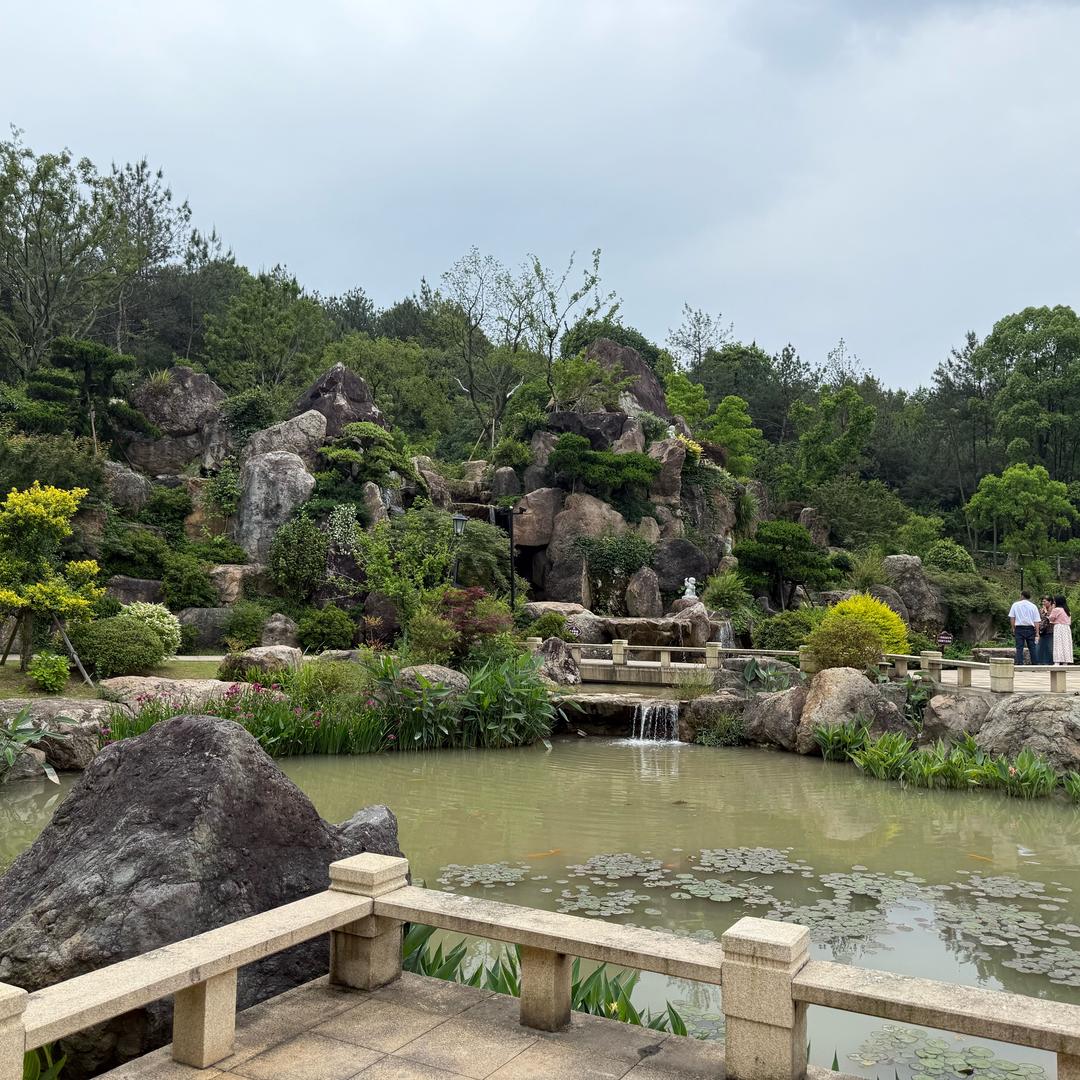 一帆风顺