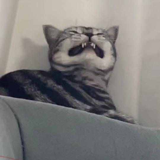 美丽的废物^