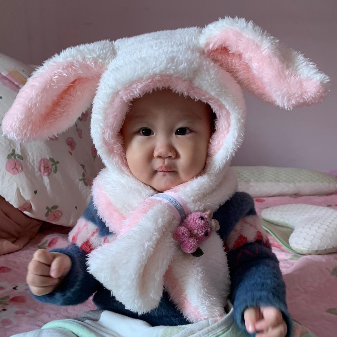 小森林宝宝