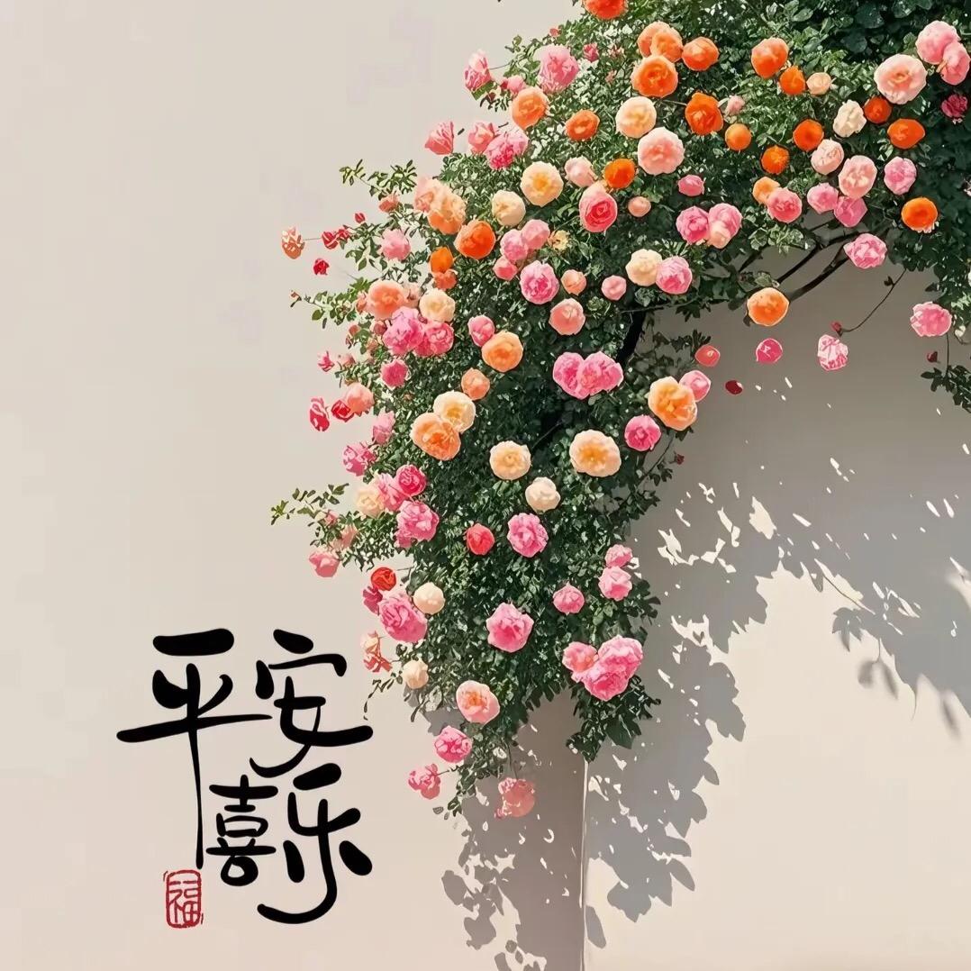 金州明珠神豪客头像