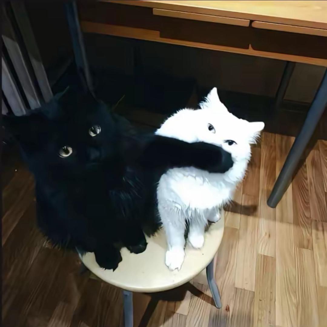 小袁_
