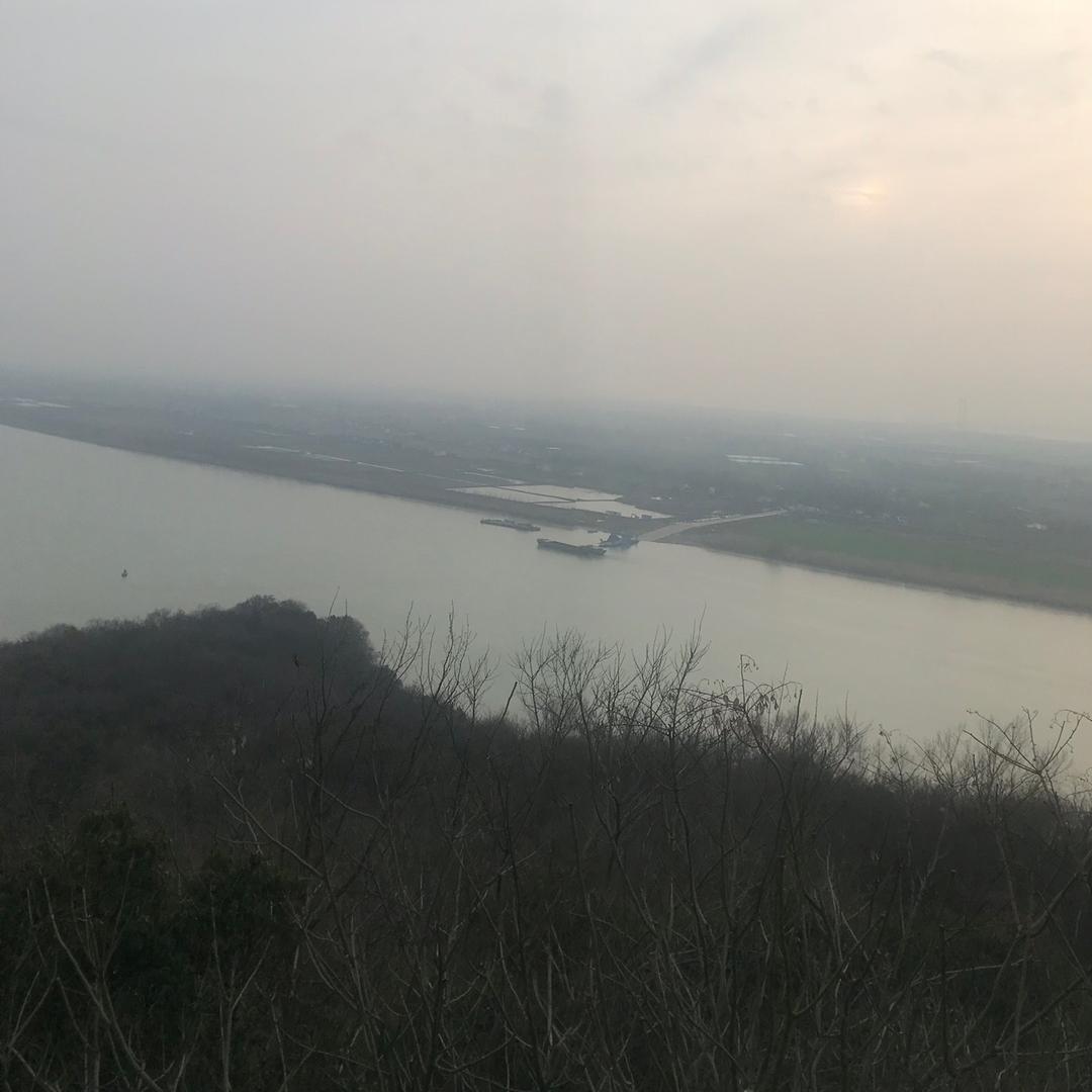 王少