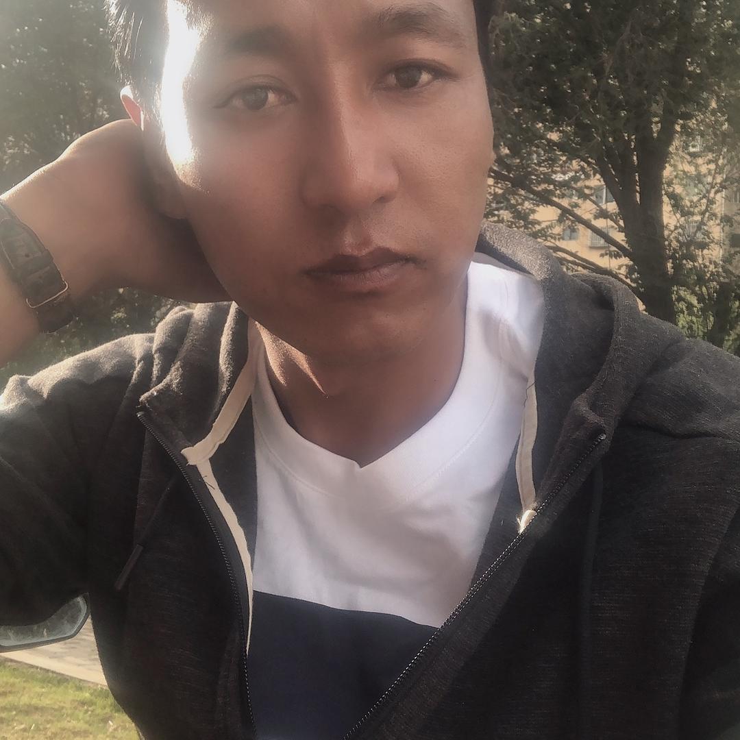 藏面专家