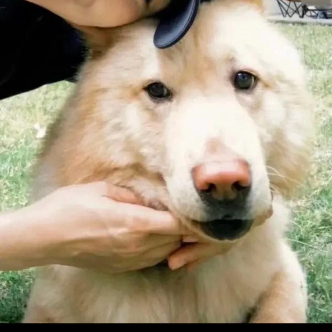 水.