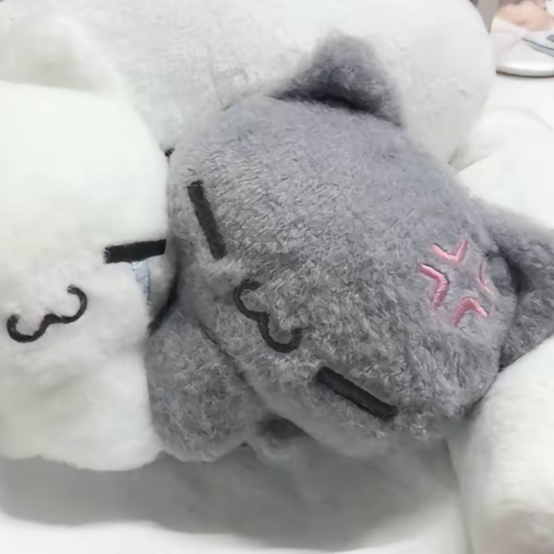 小扬肖恩