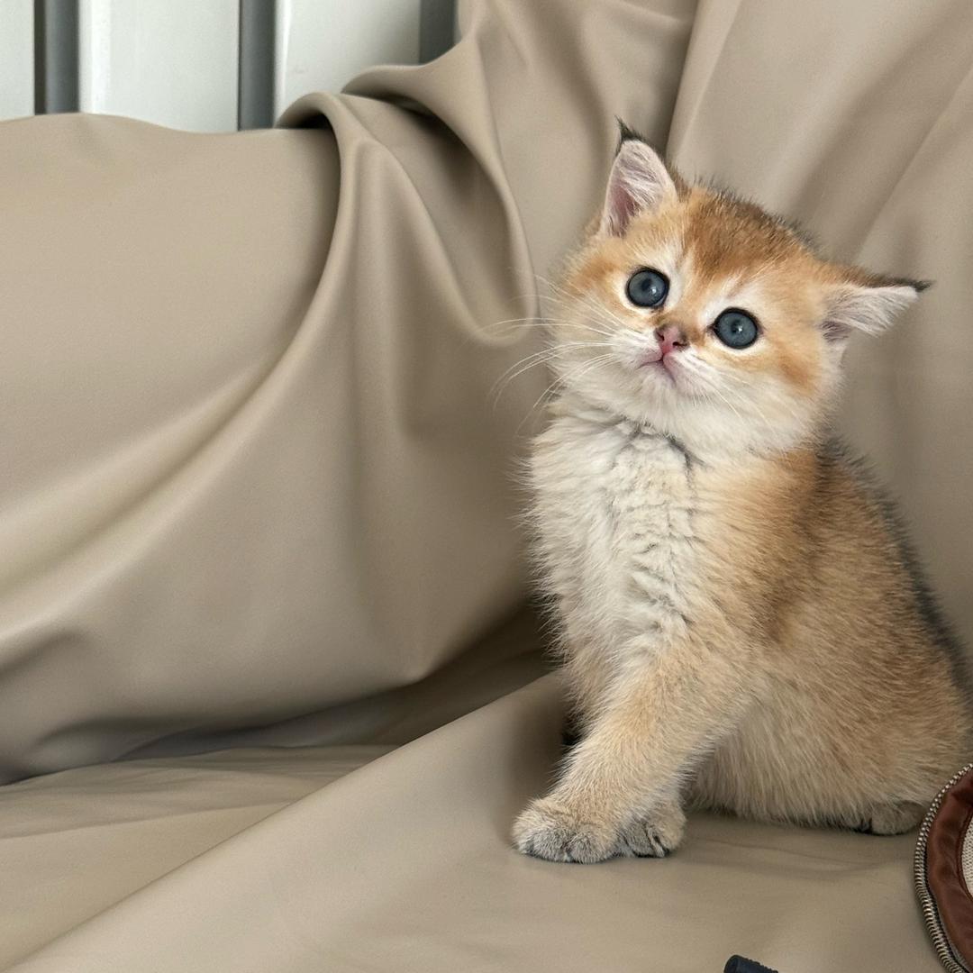 谁让我开心我就和谁玩