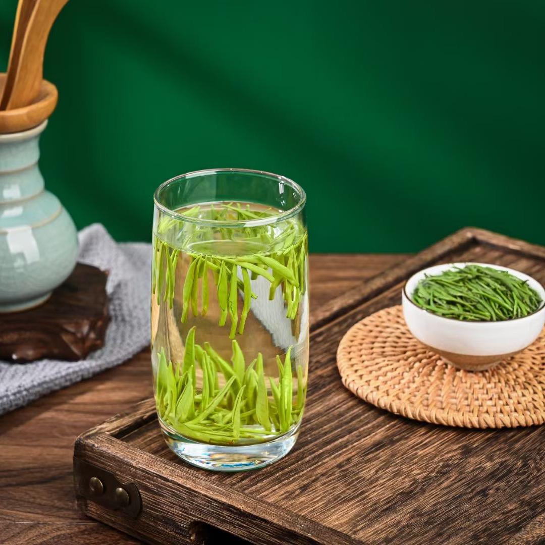 雀舌青茶叶种植